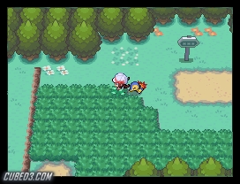 Pokémon HeartGold & SoulSilver Review (DS)