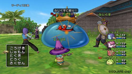 Screenshot for Dragon Quest X: Rise of the Five Tribes Online on Wii