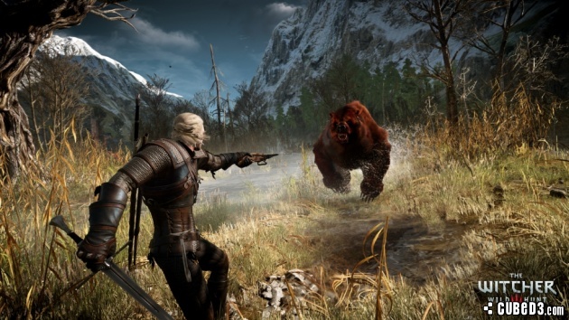 playstation the witcher