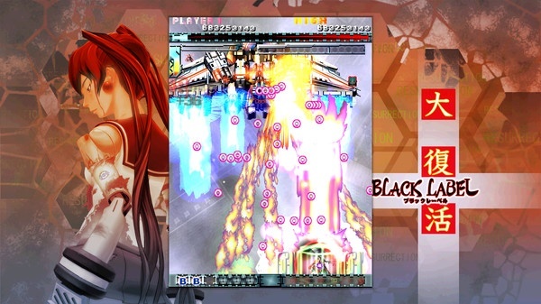 Screenshot for DoDonPachi Resurrection on PC