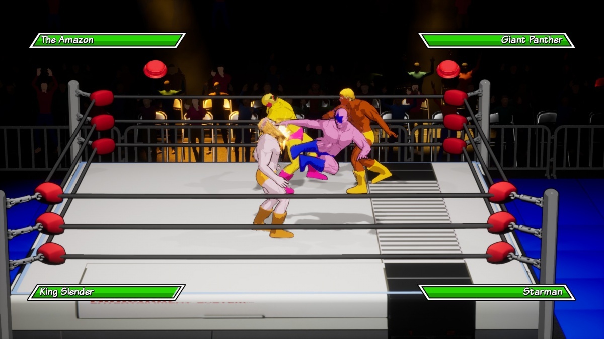 Screenshot for Chikara: Action Arcade Wrestling on PC