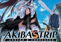 Review for Akiba’s Trip: Undead & Undressed on PS Vita