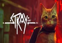Read review for Stray - Nintendo 3DS Wii U Gaming