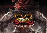  Street Fighter V - Collector's Edition - PlayStation 4 :  Everything Else