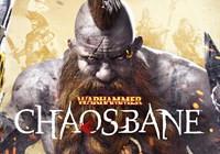 Review for Warhammer: Chaosbane Slayer Edition  on PlayStation 5