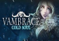 Review for Vambrace: Cold Soul on PC
