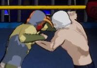 Review for Chikara: Action Arcade Wrestling on PC