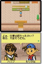 Screenshot for Harvest Moon: Colobocle Station on Nintendo DS