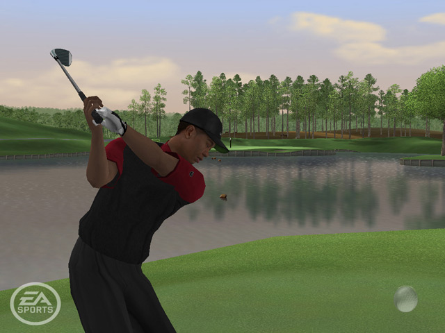 Screenshot for Tiger Woods PGA TOUR 06 on GameCube