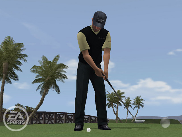 Screenshot for Tiger Woods PGA TOUR 06 on GameCube