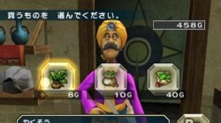 Screenshot for Dragon Quest Swords: The Masked Queen & The Tower of Mirrors - click to enlarge