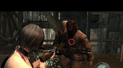Screenshot for Resident Evil 4: Wii Edition - click to enlarge