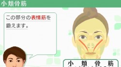 Screenshot for Face Training: Facial Exercises to Strengthen and Relax from Fumiko Inudo - click to enlarge