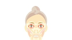 Screenshot for Face Training: Facial Exercises to Strengthen and Relax from Fumiko Inudo - click to enlarge