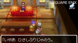 Screenshot for Dragon Quest IX: Sentinels of the Starry Skies - click to enlarge