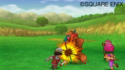 Screenshot for Dragon Quest IX: Sentinels of the Starry Skies - click to enlarge