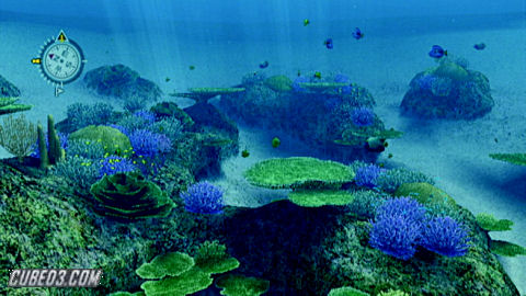 Screenshot for Endless Ocean on Wii