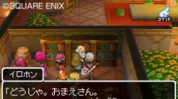 Screenshot for Dragon Quest IX: Sentinels of the Starry Skies - click to enlarge