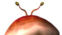 Screenshot for Pikmin - click to enlarge