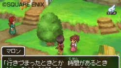 Screenshot for Dragon Quest IX: Sentinels of the Starry Skies - click to enlarge