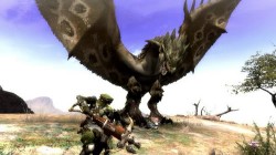 Screenshot for Monster Hunter Tri - click to enlarge