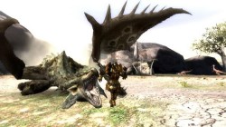 Screenshot for Monster Hunter Tri - click to enlarge