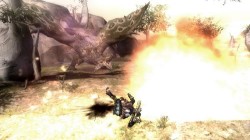 Screenshot for Monster Hunter Tri - click to enlarge