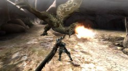 Screenshot for Monster Hunter Tri - click to enlarge