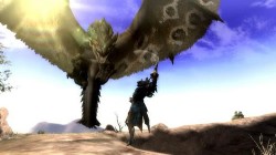 Screenshot for Monster Hunter Tri - click to enlarge