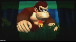 Screenshot for Donkey Kong: Jungle Beat - click to enlarge