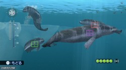 Screenshot for Endless Ocean 2: Adventures of the Deep - click to enlarge