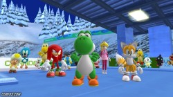 Screenshot for Mario & Sonic at the Winter Olympic Games - click to enlarge