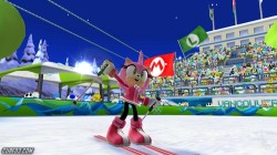 Screenshot for Mario & Sonic at the Winter Olympic Games - click to enlarge