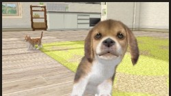 Screenshot for Nintendogs + Cats: Golden Retriever & Friends - click to enlarge