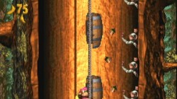 Screenshot for Donkey Kong Country 3: Dixie Kong