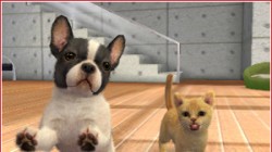 Screenshot for Nintendogs + Cats: Golden Retriever & Friends - click to enlarge