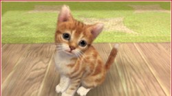 Screenshot for Nintendogs + Cats: Golden Retriever & Friends - click to enlarge