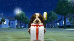 Screenshot for Nintendogs + Cats: Golden Retriever & Friends - click to enlarge