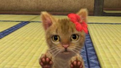 Screenshot for Nintendogs + Cats: Golden Retriever & Friends - click to enlarge