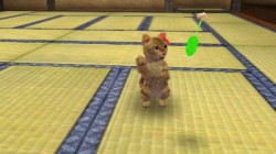 Screenshot for Nintendogs + Cats: Golden Retriever & Friends - click to enlarge