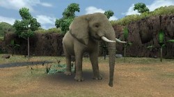 Screenshot for Zoo Resort 3D - click to enlarge