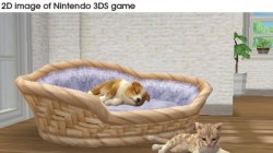 Screenshot for Nintendogs + Cats: Golden Retriever & Friends - click to enlarge