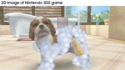 Screenshot for Nintendogs + Cats: Golden Retriever & Friends - click to enlarge