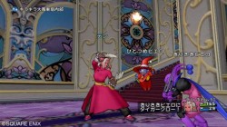 Screenshot for Dragon Quest X Online - click to enlarge