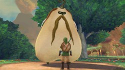 Screenshot for The Legend of Zelda: Skyward Sword - click to enlarge