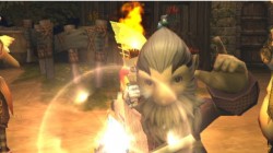 Screenshot for Final Fantasy Crystal Chronicles - click to enlarge