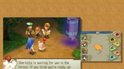 Screenshot for Final Fantasy Crystal Chronicles: Echoes of Time - click to enlarge