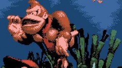 Screenshot for Donkey Kong Country - click to enlarge