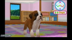 Screenshot for Puppies World 3D - click to enlarge