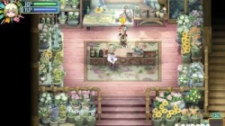 Screenshot for Rune Factory 4 - click to enlarge